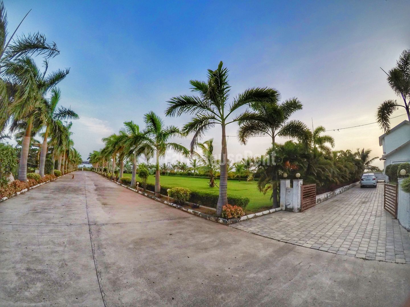Palm Riviera