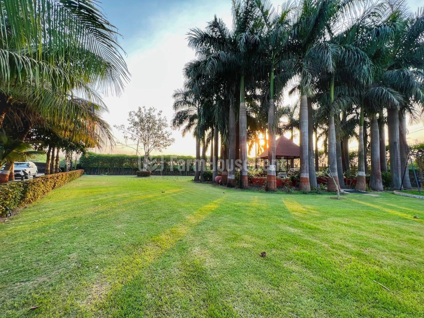 Palm Stead