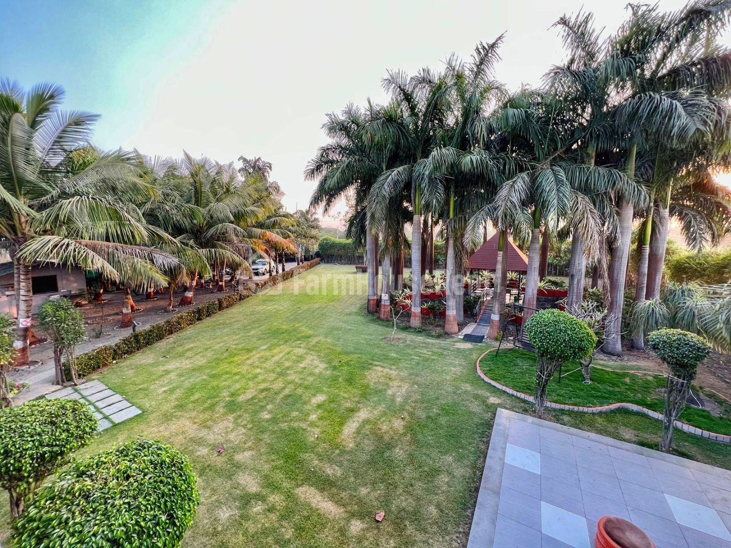 Palm Stead