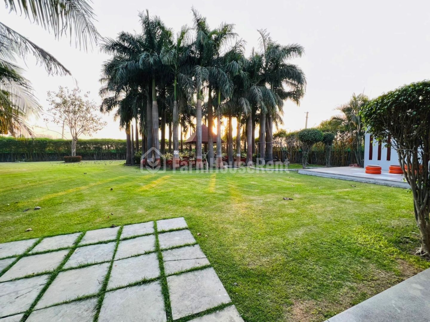 Palm Stead