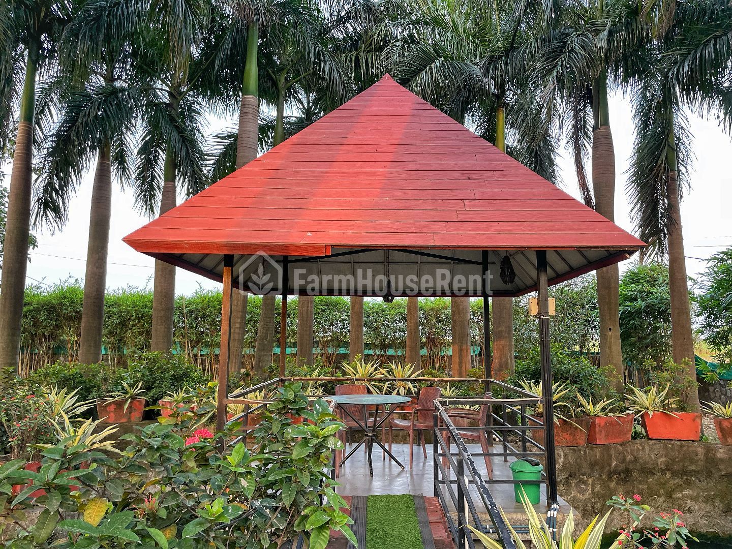 Palm Stead