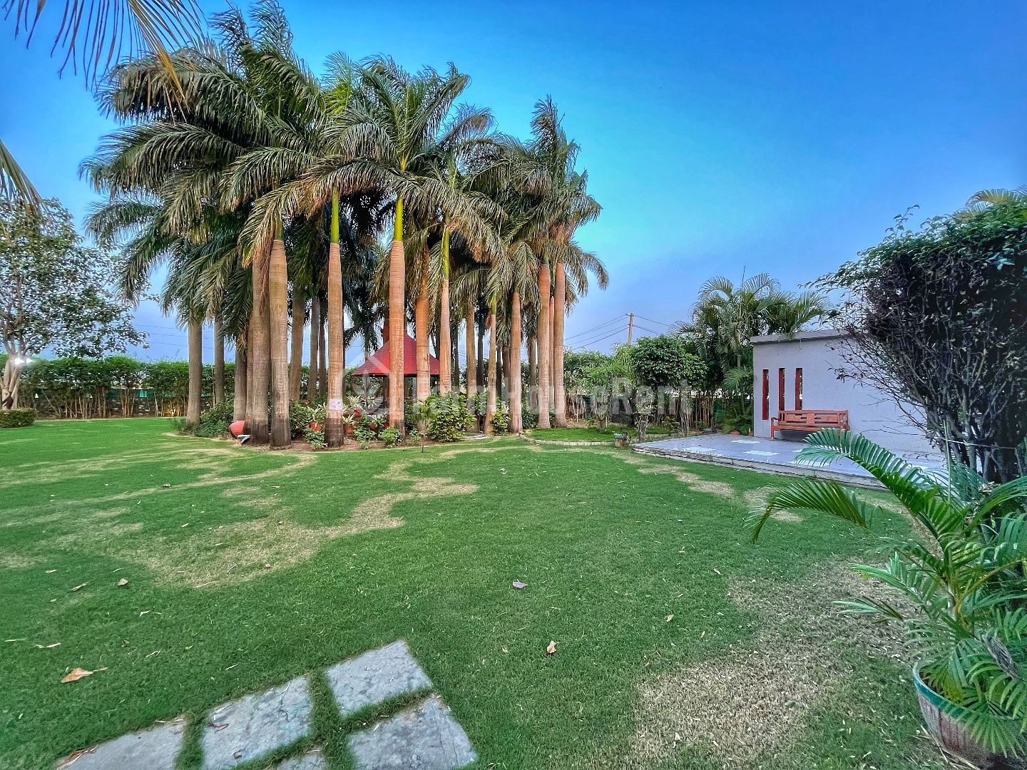 Palm Stead