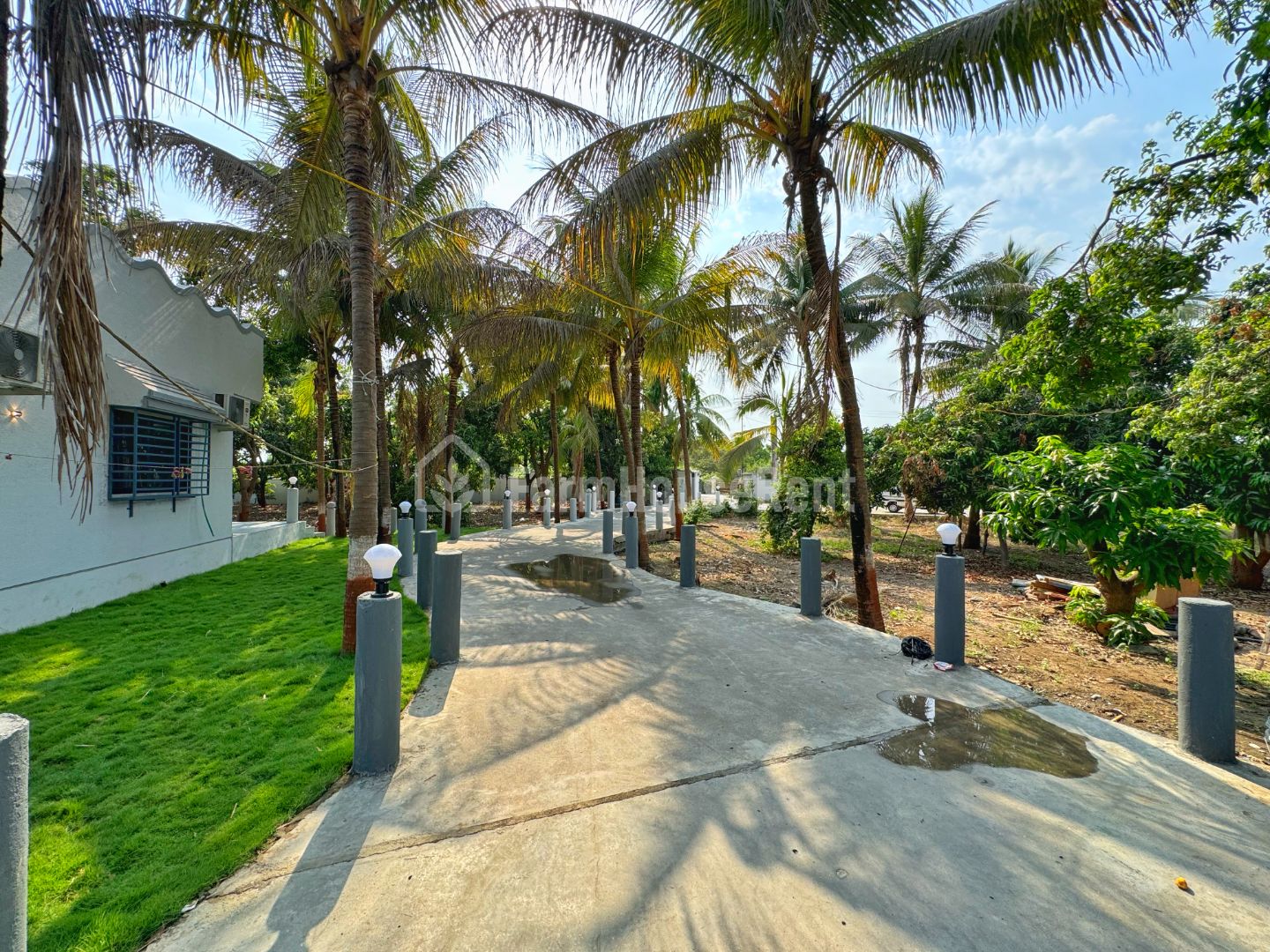 Mango Villa