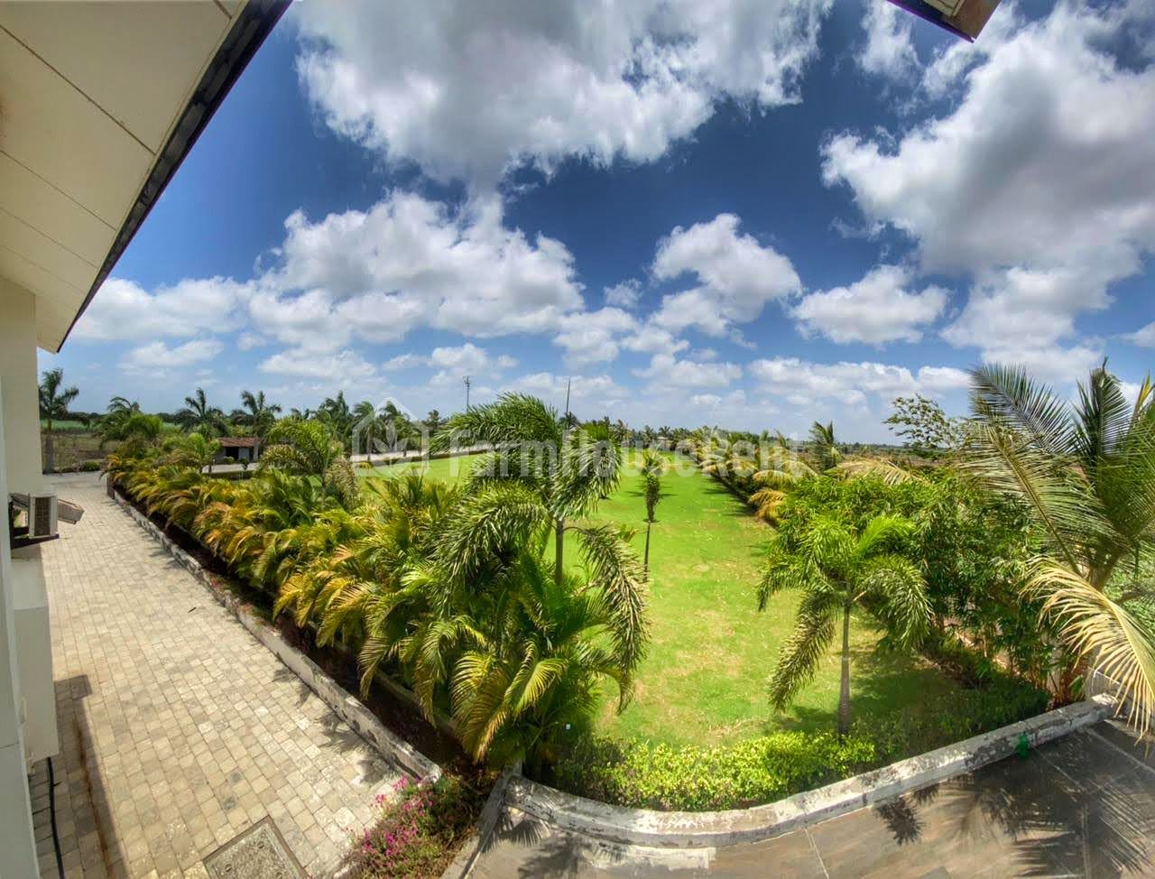 Palm Riviera