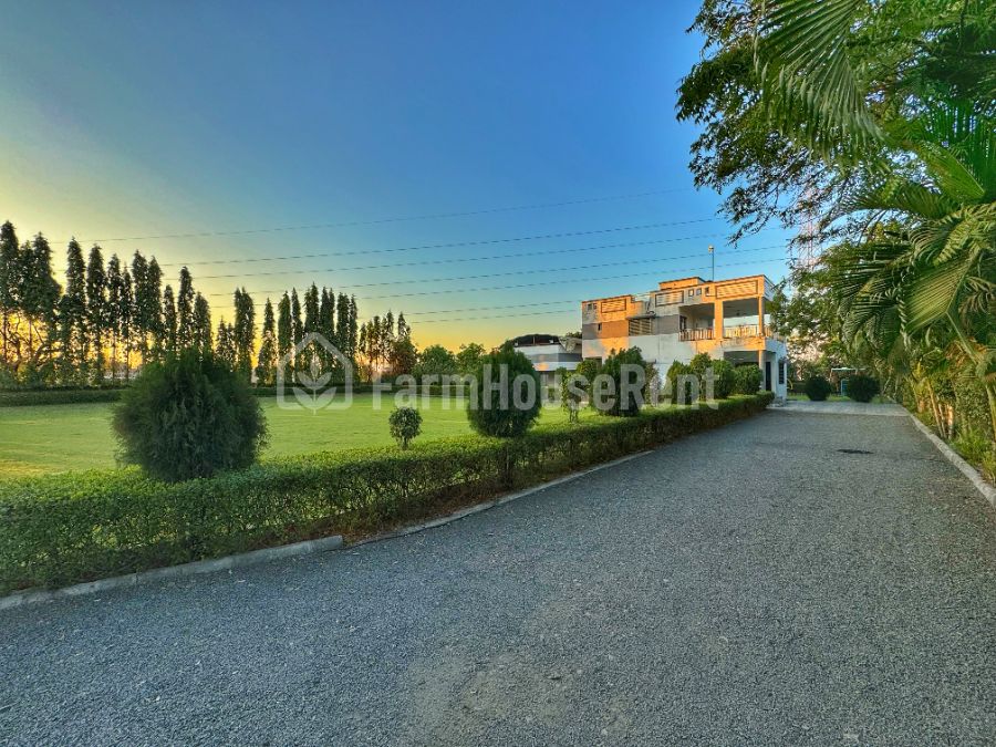 Sajani Farm